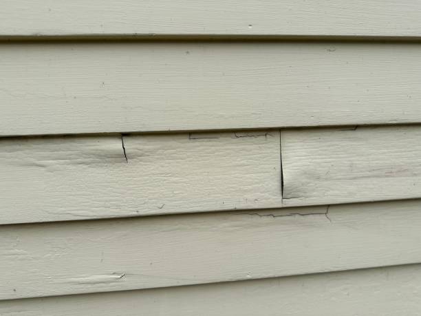 Best Vinyl Siding Installation  in Temesl Valley, CA